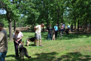 Lining up for Leap Dog exercise 