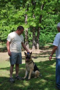 Preparing for a stranger and strange dog as they approach
