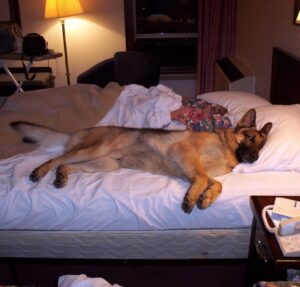 Sleep Time After Dinner