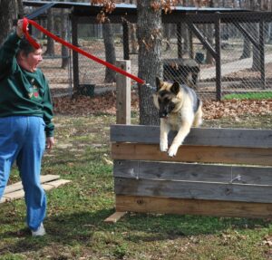 Obedience and Canine Good Citizen Class at Keystone German Shepherds & Kennels