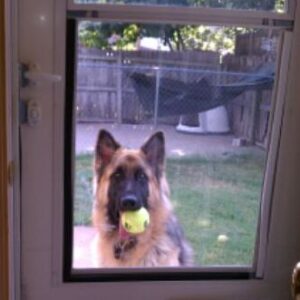Hey Is It Dinner Time Yet