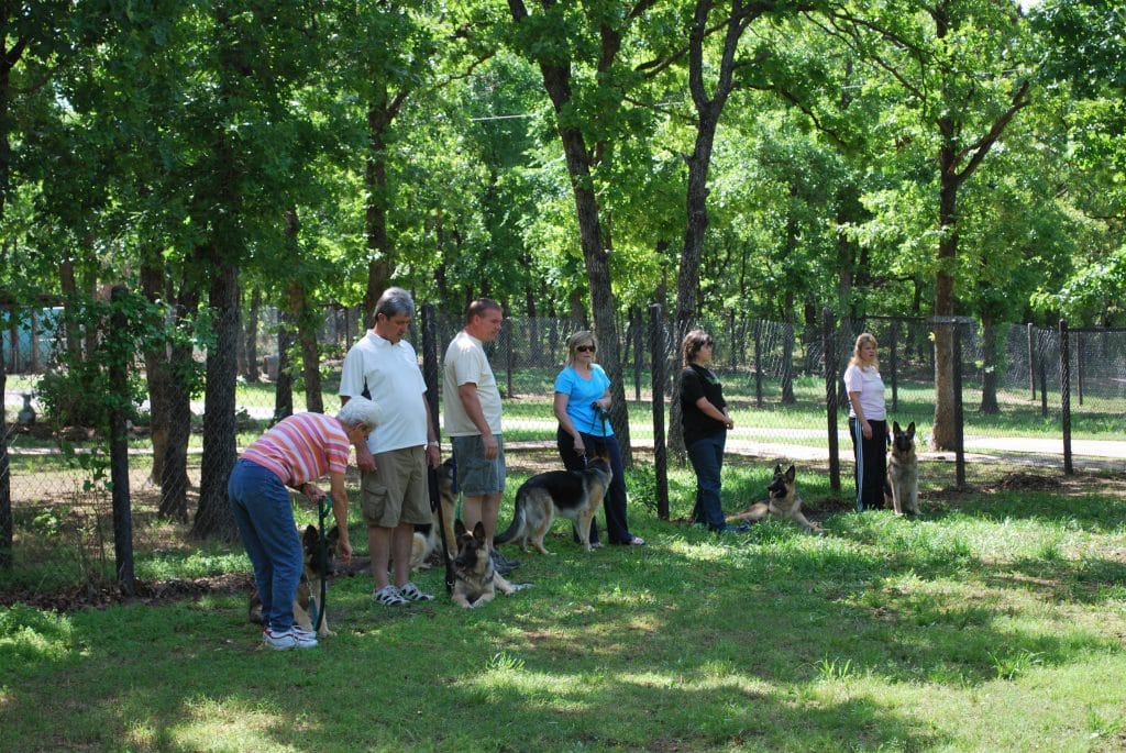 AKC Canine Good Citizen Class at Keystone German Shepherds & 