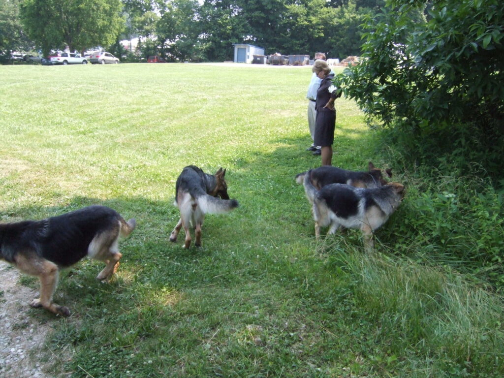 DSCF2278