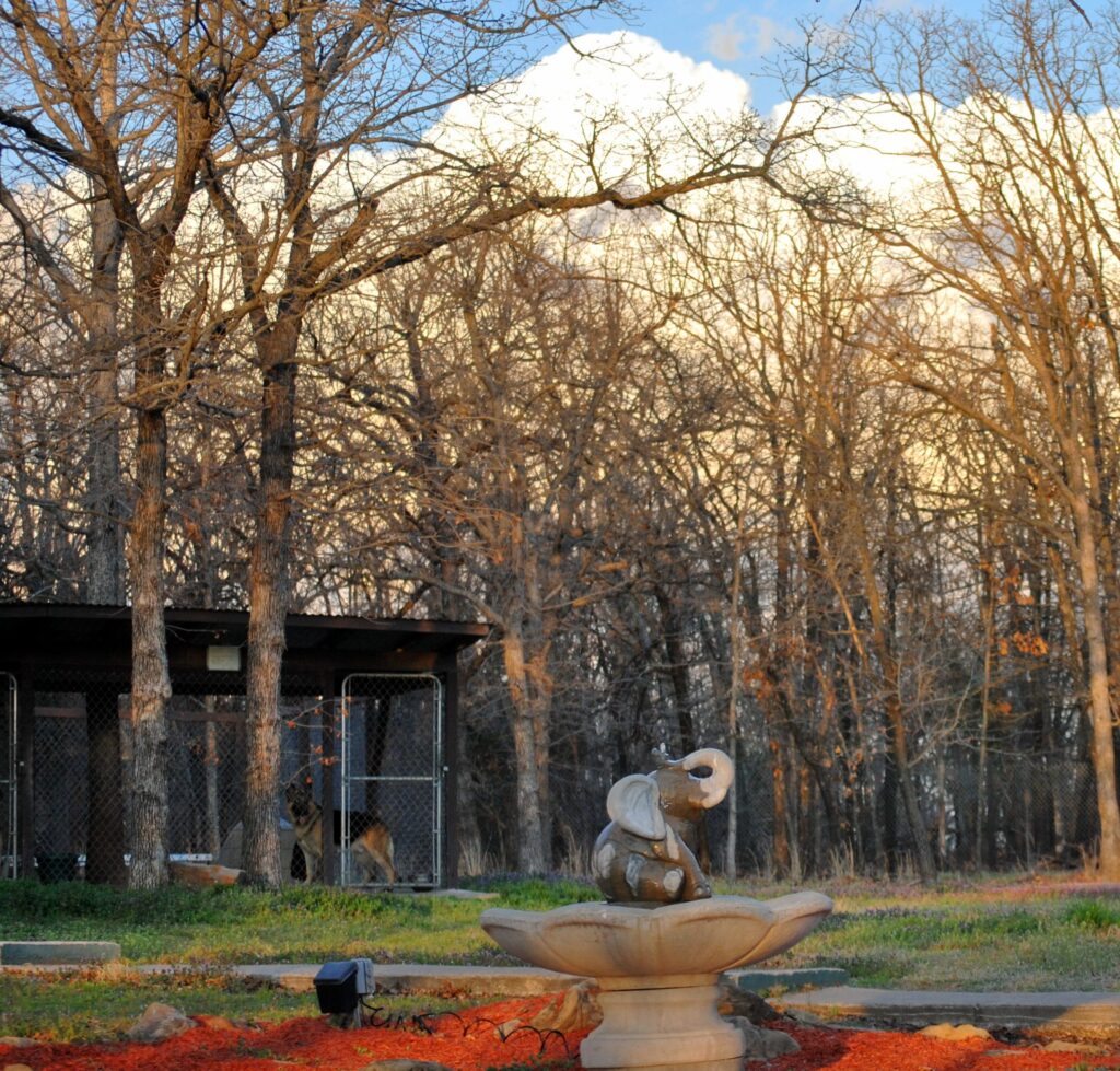 Keystone German Shepherds & Kennels