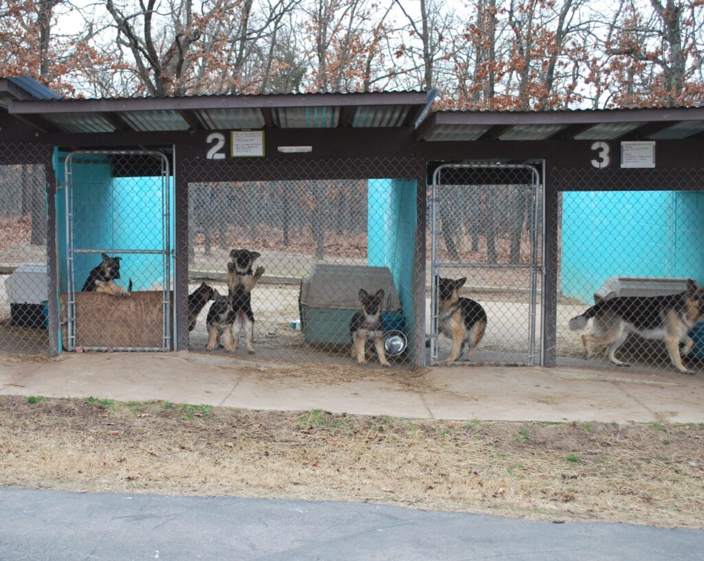Keystone Kennels in Winter