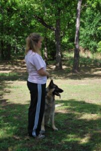 Canine Good Citizen Training