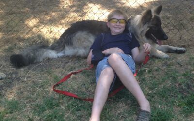 Building the Confidence of Your German Shepherd Dog, Puppy or Young Adult