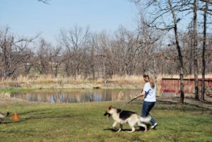 Canine Good Citizen Training