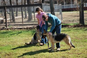 Canine Good Citizen Training