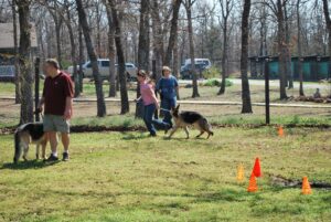 Canine Good Citizen Training