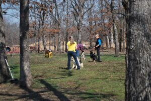 Canine Good Citizen Training
