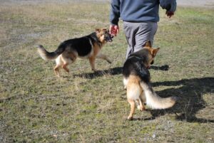 Daphne (left) Playing In Pine Bluff, AR Feb, 2013