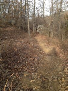 A picture of the Hiking Trail That We walk Our German Shepherd Dogs on. 