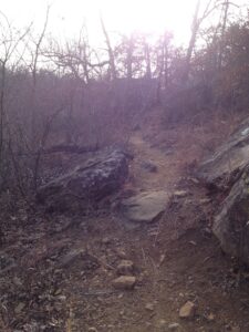 Another Picture of the Rugged Trail We Hike with Our German Shepherd Dogs