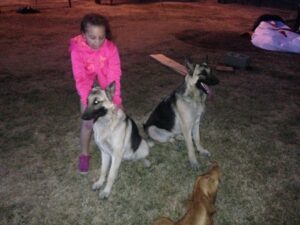 Healthy Food Means Happy German Shepherds