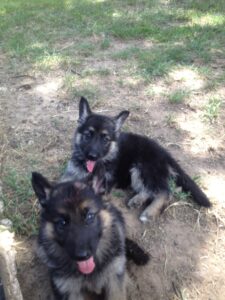When can we go to our new homes?