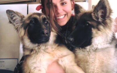 Puppies for sale!