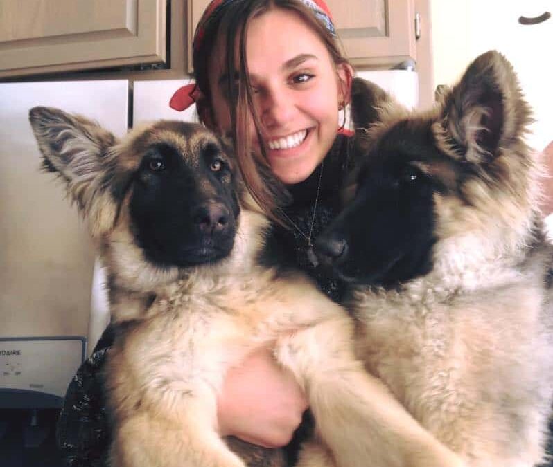 Puppies for sale!
